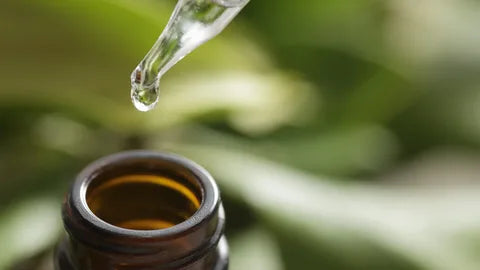 Tree Oil Example How Tea Tree Oil in Kanberra® All-Natural Spray Naturally Eliminates O ...