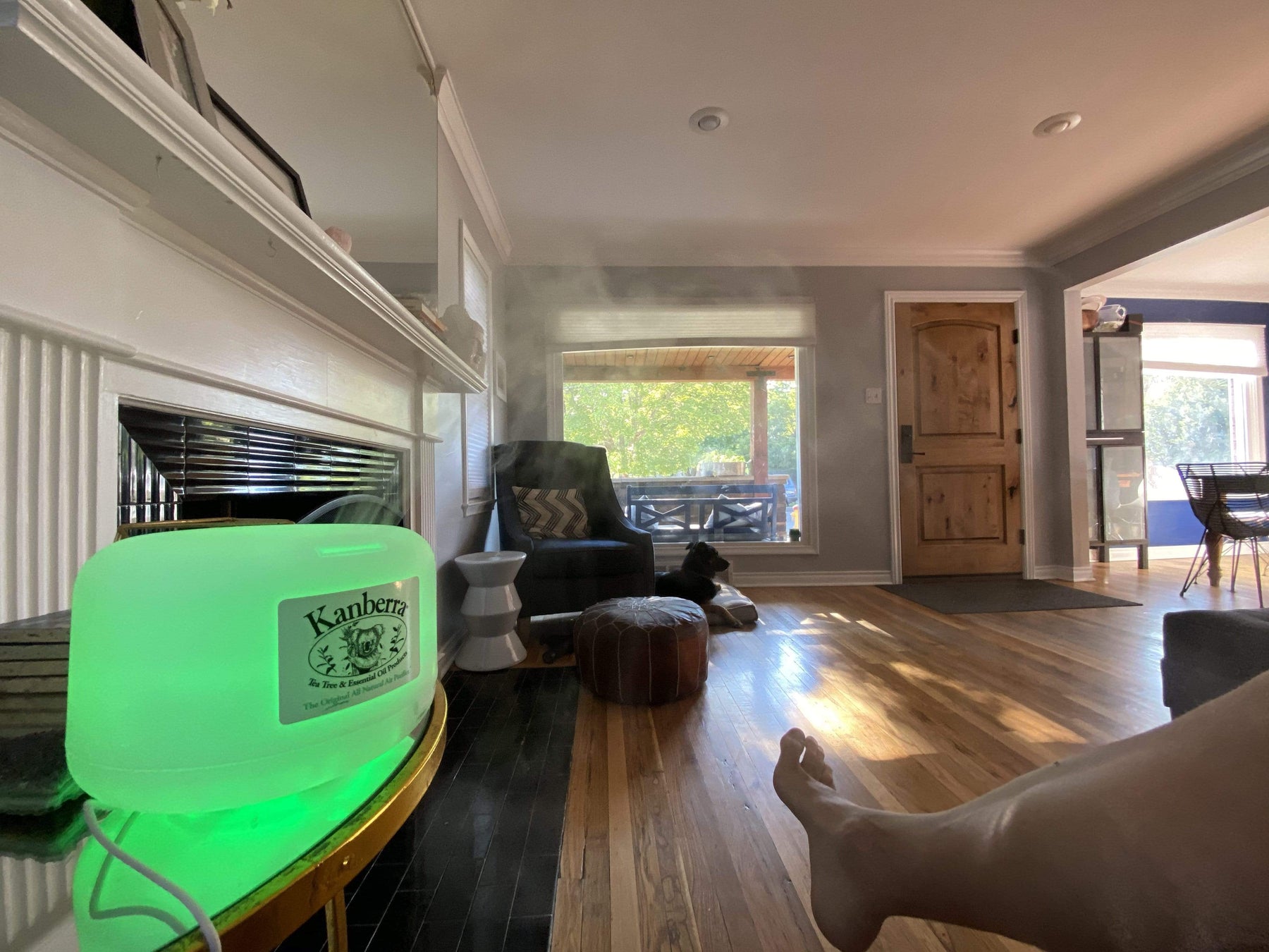 Best Tea Tree Oil Diffuser: Natural & Effective Choices – Kanberra Gel