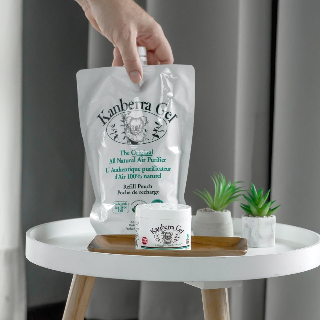 フェイスジェル・ゲル Shahryar Home Gel Bundle | Kanberra Gel for Everyday Spaces